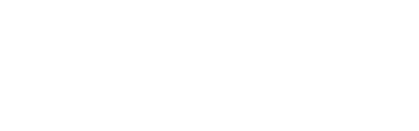 Pins+